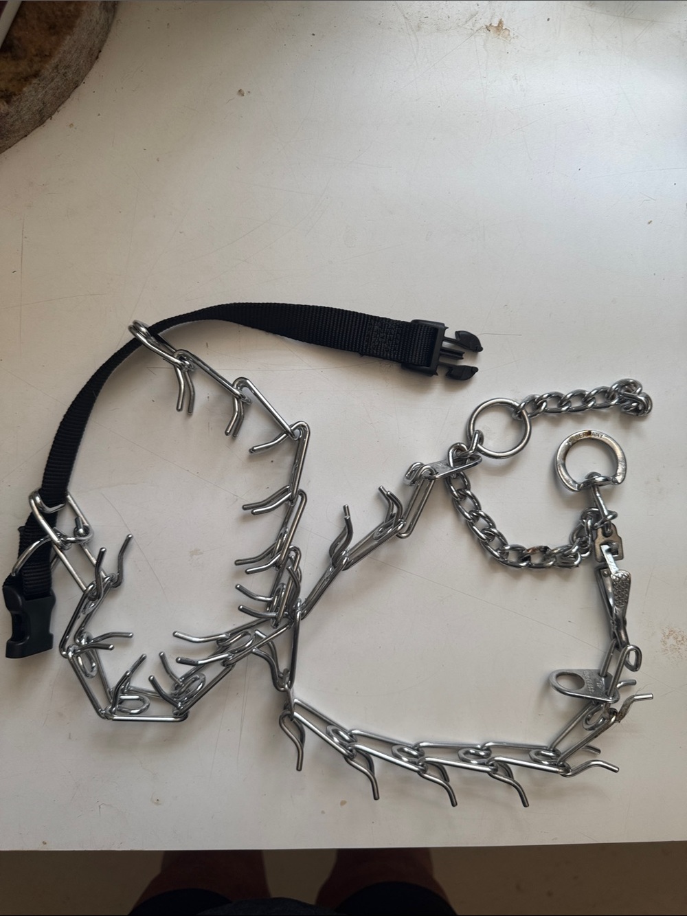 Dog Collars 2 Pronged